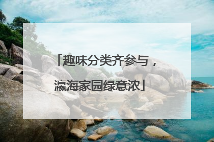 趣味分类齐参与，瀛海家园绿意浓