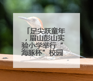 足尖跃童年，眉山彭山实验小学举行“海豚杯”校园足球联赛