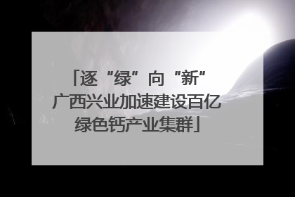 逐“绿”向“新” 广西兴业加速建设百亿绿色钙产业集群