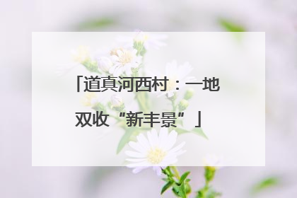 道真河西村：一地双收“新丰景”