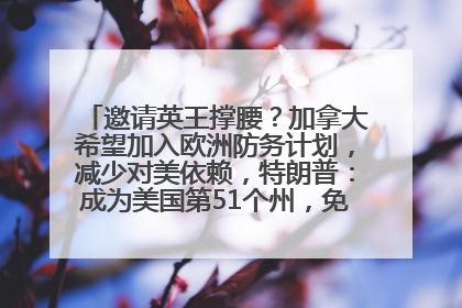 邀请英王撑腰？加拿大希望加入欧洲防务计划，减少对美依赖，特朗普：成为美国第51个州，免费用“金穹”