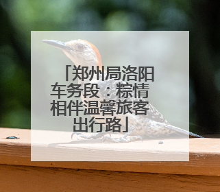 郑州局洛阳车务段：粽情相伴温馨旅客出行路