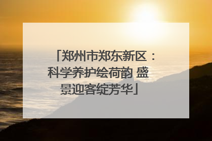 郑州市郑东新区：科学养护绘荷韵 盛景迎客绽芳华