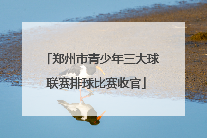 郑州市青少年三大球联赛排球比赛收官