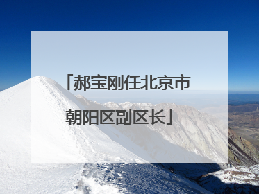 郝宝刚任北京市朝阳区副区长