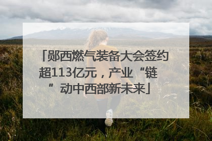 郧西燃气装备大会签约超113亿元，产业“链”动中西部新未来