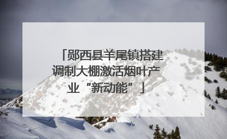 郧西县羊尾镇搭建调制大棚激活烟叶产业“新动能”
