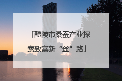 醴陵市桑蚕产业探索致富新“丝”路