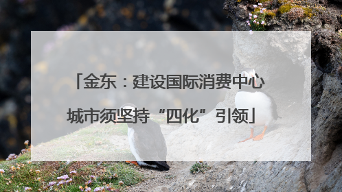金东：建设国际消费中心城市须坚持“四化”引领