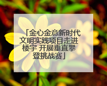 金心金意新时代文明实践项目走进楼宇 开展垂直攀登挑战赛
