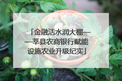 金融活水润大棚——莘县农商银行赋能设施农业升级纪实