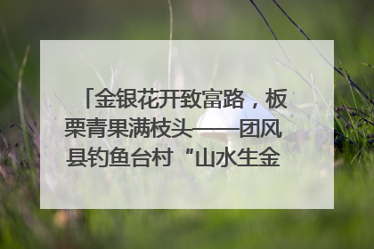 金银花开致富路，板栗青果满枝头——团风县钓鱼台村“山水生金”谱写共富新篇章