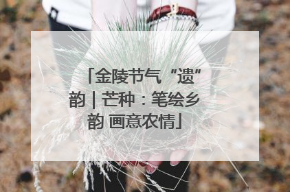 金陵节气“遗”韵｜芒种：笔绘乡韵 画意农情