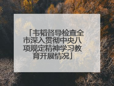 韦韬督导检查全市深入贯彻中央八项规定精神学习教育开展情况