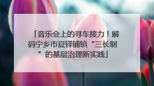 音乐会上的寻车接力！解码宁乡市夏铎铺镇“三长制”的基层治理新实践