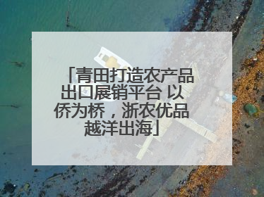 青田打造农产品出口展销平台 以侨为桥，浙农优品越洋出海