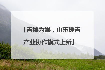 青稞为媒，山东援青产业协作模式上新