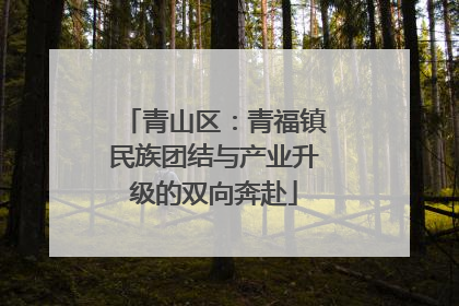 青山区：青福镇民族团结与产业升级的双向奔赴