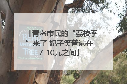 青岛市民的“荔枝季”来了 妃子笑普遍在7-10元之间
