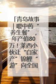 青岛故事｜喂中药“养生餐”，年产值80万！莱西小伙让“自家产”锦鲤“游”向全国