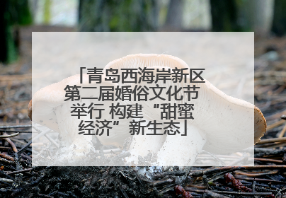 青岛西海岸新区第二届婚俗文化节举行 构建“甜蜜经济”新生态