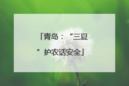青岛：“三夏”护农话安全
