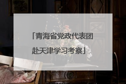 青海省党政代表团赴天津学习考察