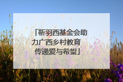 靳羽西基金会助力广西乡村教育 传递爱与希望