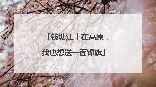 钱塘江丨在高原，我也想送一面锦旗