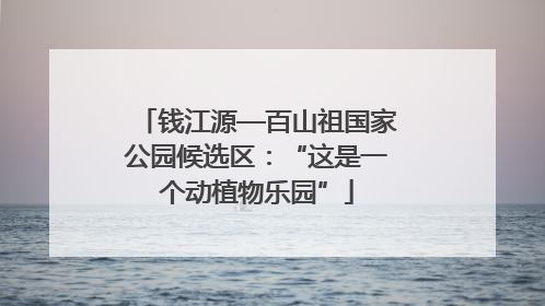 钱江源—百山祖国家公园候选区：“这是一个动植物乐园”