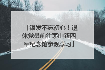 银发不忘初心！退休党员前往茅山新四军纪念馆参观学习