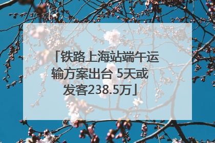 铁路上海站端午运输方案出台 5天或发客238.5万