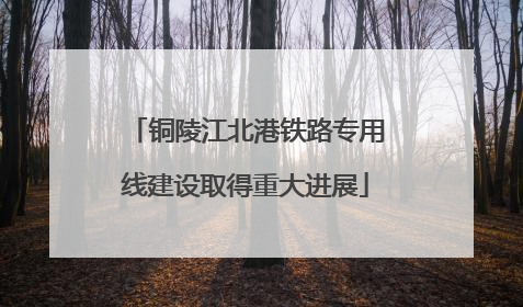 铜陵江北港铁路专用线建设取得重大进展