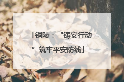 铜陵：“铸安行动”筑牢平安防线
