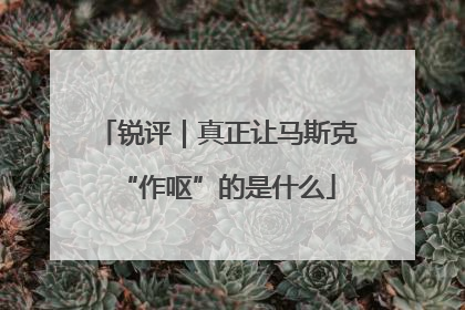 锐评｜真正让马斯克“作呕”的是什么