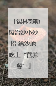 锡林郭勒盟治沙小妙招 给沙地吃上“营养餐”