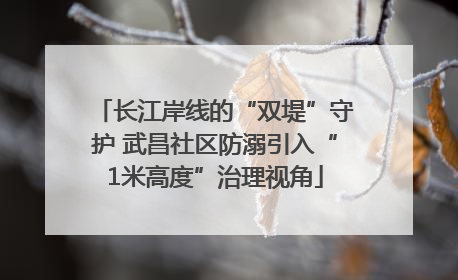 长江岸线的“双堤”守护 武昌社区防溺引入“1米高度”治理视角