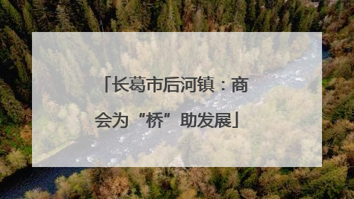 长葛市后河镇：商会为“桥”助发展
