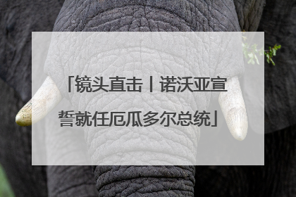 镜头直击丨诺沃亚宣誓就任厄瓜多尔总统