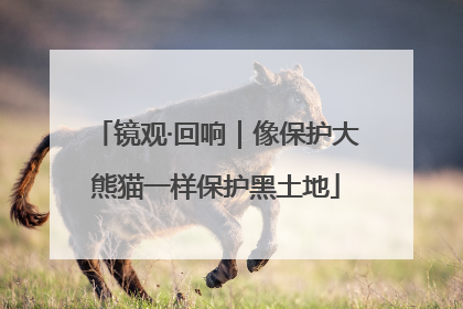 镜观·回响｜像保护大熊猫一样保护黑土地