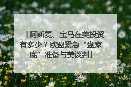 阿斯麦、宝马在美投资有多少？欧盟紧急“盘家底”准备与美谈判