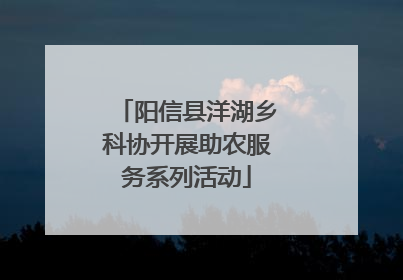 阳信县洋湖乡科协开展助农服务系列活动