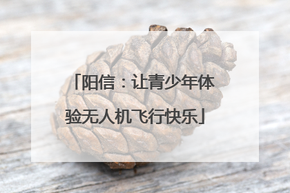 阳信：让青少年体验无人机飞行快乐