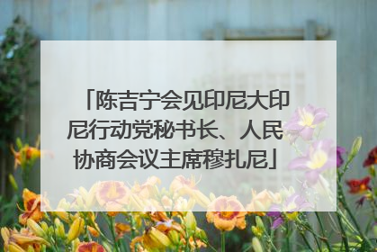 陈吉宁会见印尼大印尼行动党秘书长、人民协商会议主席穆扎尼