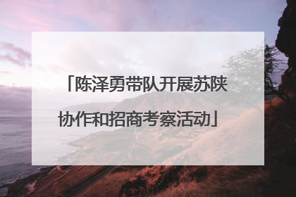 陈泽勇带队开展苏陕协作和招商考察活动