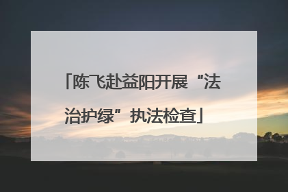 陈飞赴益阳开展“法治护绿”执法检查