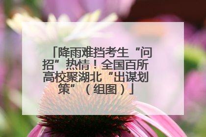 降雨难挡考生“问招”热情！全国百所高校聚湖北“出谋划策”（组图）