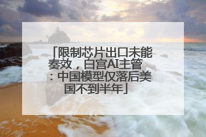 限制芯片出口未能奏效，白宫AI主管：中国模型仅落后美国不到半年