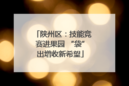 陕州区：技能竞赛进果园 “袋”出增收新希望