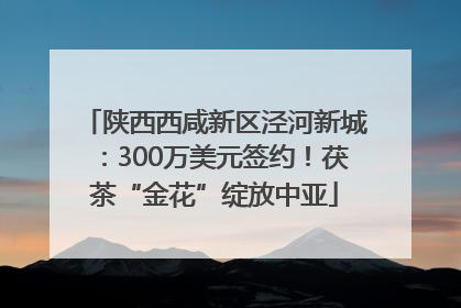 陕西西咸新区泾河新城：300万美元签约！茯茶“金花”绽放中亚